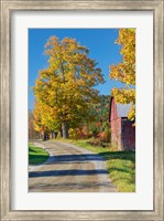 Road beside Classic Farm in Autumn, New Hampshire Fine Art Print