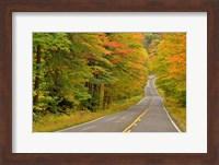 Roadway through White Mountain National Forest, New Hampshire Fine Art Print
