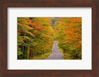 White Mountain National Forest, New Hampshire Fine Art Print