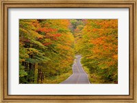 White Mountain National Forest, New Hampshire Fine Art Print