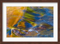 Fall Reflections in Stream, White Mountain National Forest, New Hampshire Fine Art Print