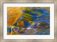Fall Reflections in Stream, White Mountain National Forest, New Hampshire Fine Art Print
