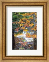 Stream and Fall Foliage, New Hampshire Fine Art Print