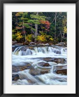 Lower Swift River Falls, White Mountains, New Hampshire Fine Art Print