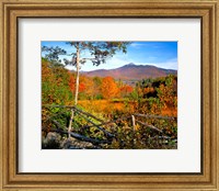 Autumn landscape of Mount Chocorua, New England, New Hampshire Fine Art Print