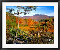 Autumn landscape of Mount Chocorua, New England, New Hampshire Fine Art Print