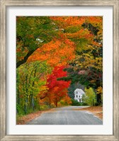 Road lined in fall color, Andover, New England, New Hampshire Fine Art Print