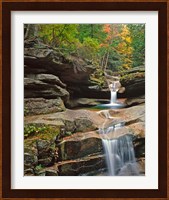 Sabbady Falls,White Mountains National Forest New Hampshire Fine Art Print