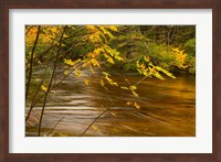 New Hampshire, White Mountain National Forest River Fine Art Print
