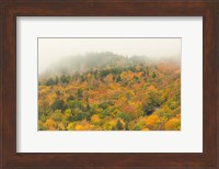 New Hampshire, White Mountain National Forest, Autumn Fine Art Print