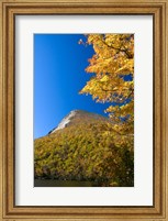 White Mountains, Franconia Notch, New Hampshire Fine Art Print