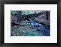 Banks of Lamprey River, National Wild and Scenic River, New Hampshire Fine Art Print