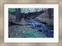 Banks of Lamprey River, National Wild and Scenic River, New Hampshire Fine Art Print