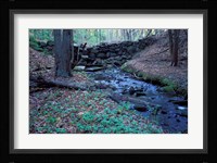 Banks of Lamprey River, National Wild and Scenic River, New Hampshire Fine Art Print