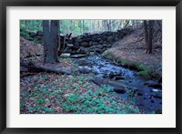 Banks of Lamprey River, National Wild and Scenic River, New Hampshire Fine Art Print