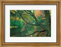 Fall Along the Lamprey River in Durham, New Hampshire Fine Art Print