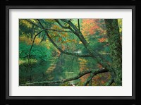 Fall Along the Lamprey River in Durham, New Hampshire Fine Art Print