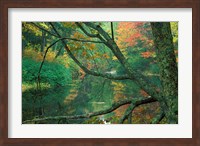 Fall Along the Lamprey River in Durham, New Hampshire Fine Art Print