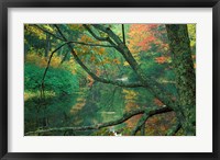 Fall Along the Lamprey River in Durham, New Hampshire Fine Art Print