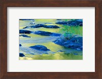 Summer Reflections in the Waters of the Lamprey River, New Hampshire Fine Art Print