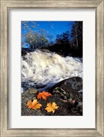 Maple Leaves and Wadleigh Falls on the Lamprey River, New Hampshire Fine Art Print