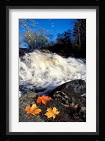 Maple Leaves and Wadleigh Falls on the Lamprey River, New Hampshire Fine Art Print
