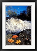 Maple Leaves and Wadleigh Falls on the Lamprey River, New Hampshire Fine Art Print