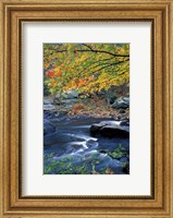 Packers Falls on the Lamprey River, New Hampshire Fine Art Print