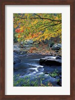 Packers Falls on the Lamprey River, New Hampshire Fine Art Print