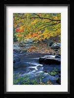Packers Falls on the Lamprey River, New Hampshire Fine Art Print