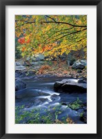 Packers Falls on the Lamprey River, New Hampshire Fine Art Print