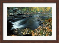 Autumn Leaves at Packers Falls on the Lamprey River, New Hampshire Fine Art Print