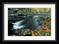 Autumn Leaves at Packers Falls on the Lamprey River, New Hampshire Fine Art Print