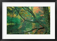 Fall on the Lamprey River below Wiswall Dam, New Hampshire Fine Art Print