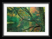 Fall on the Lamprey River below Wiswall Dam, New Hampshire Fine Art Print