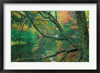 Fall on the Lamprey River below Wiswall Dam, New Hampshire Fine Art Print