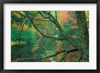 Fall on the Lamprey River below Wiswall Dam, New Hampshire Fine Art Print