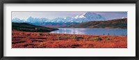 Denali National Park, Alaska Framed Print