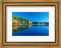 White Pines and Hardwoods, Meadow Lake, New Hampshire Fine Art Print
