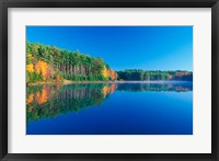 White Pines and Hardwoods, Meadow Lake, New Hampshire Fine Art Print