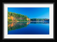 White Pines and Hardwoods, Meadow Lake, New Hampshire Fine Art Print