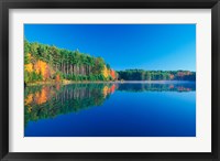 White Pines and Hardwoods, Meadow Lake, New Hampshire Fine Art Print