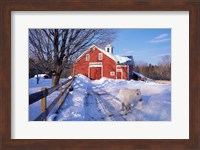 Pony and Barn near the Lamprey River in Winter, New Hampshire Fine Art Print