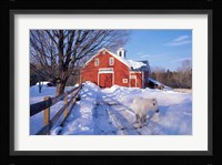 Pony and Barn near the Lamprey River in Winter, New Hampshire Fine Art Print