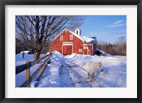 Pony and Barn near the Lamprey River in Winter, New Hampshire Fine Art Print