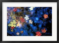 Leaves in a Pond Next to Kilburn Loop Trail, Pisgah State Park, New Hampshire Fine Art Print