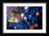 Leaves in a Pond Next to Kilburn Loop Trail, Pisgah State Park, New Hampshire Fine Art Print