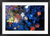Leaves in a Pond Next to Kilburn Loop Trail, Pisgah State Park, New Hampshire Fine Art Print