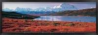 Anonymous - Denali National Park, Alaska Size 54.5x19 Framed Print