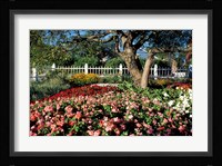 Prescott Park, New Hampshire Fine Art Print